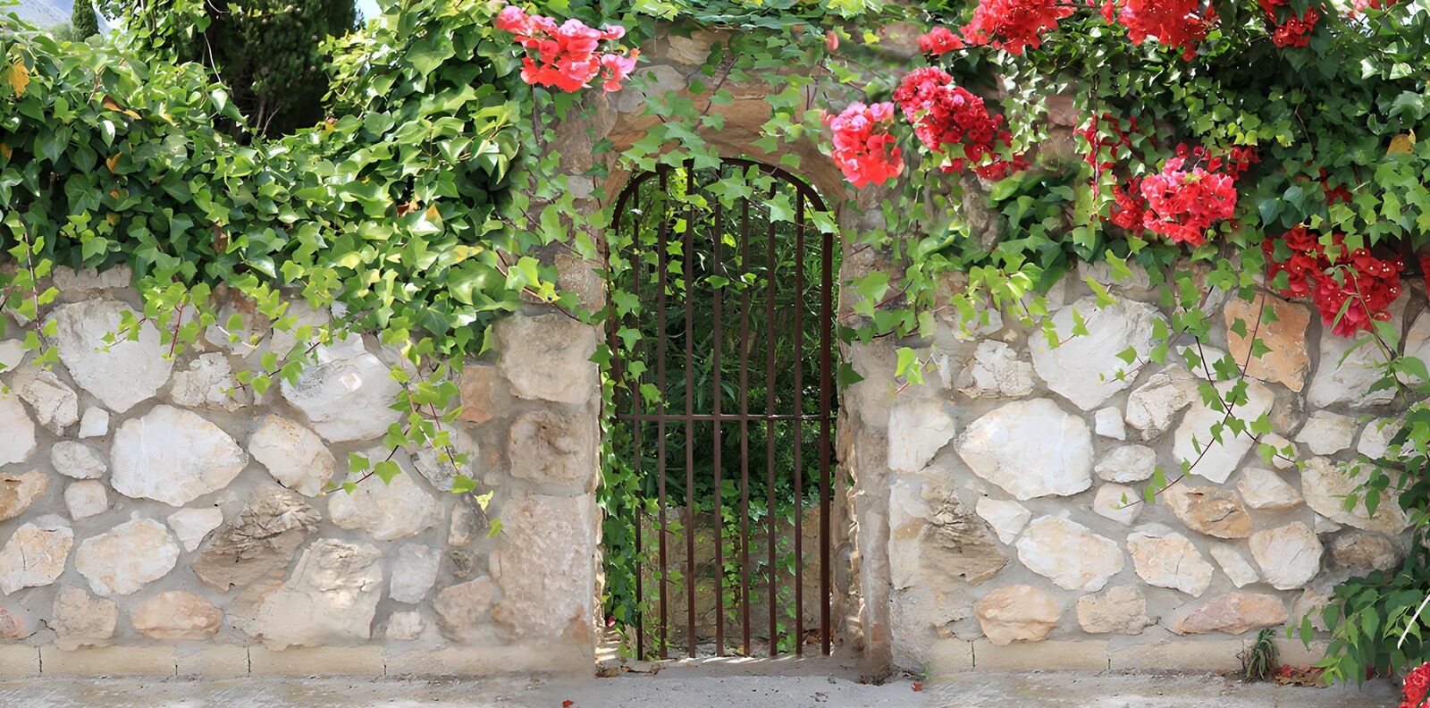 TPES92939: Portón de hierro entre piedra y flores