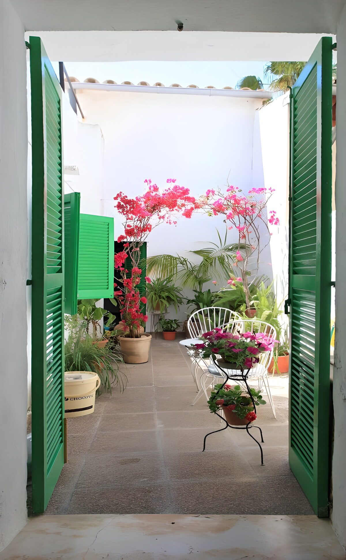 TPES57205: Patio blanco con puertas verdes y flores