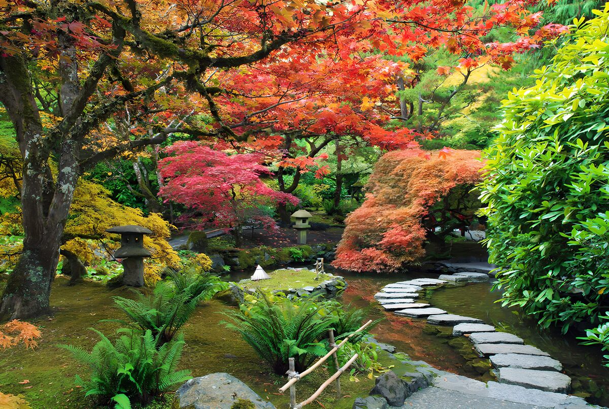 Arces y estanque en un jardín de otoño