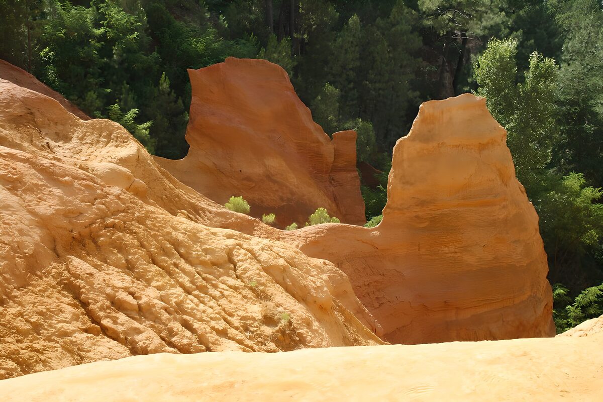 Rocas doradas entre árboles