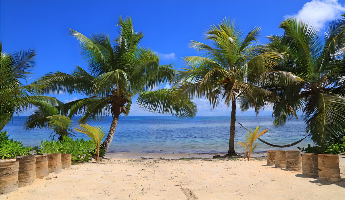Playa tropical entre palmeras y sombras
