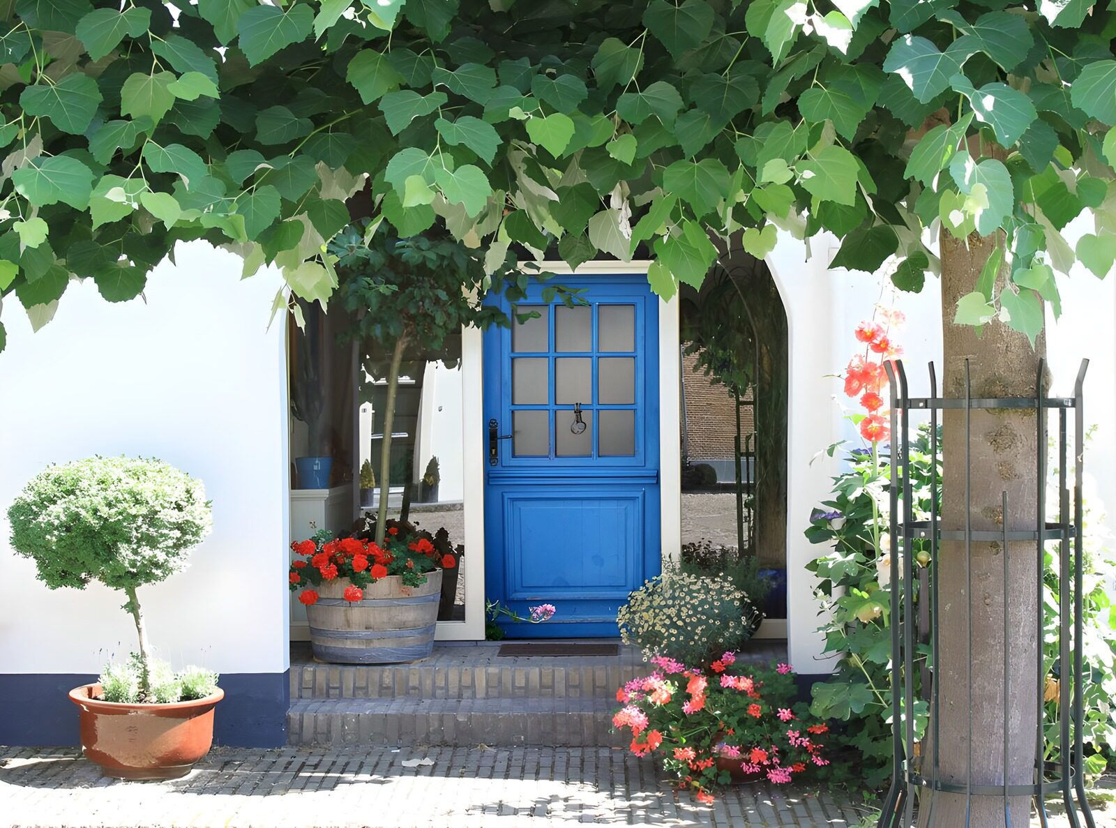 TPES11552: Puerta azul entre flores y sombra
