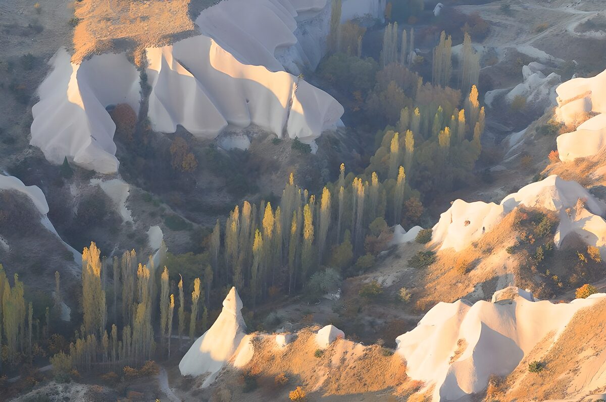 Rocas blancas y árboles de otoño
