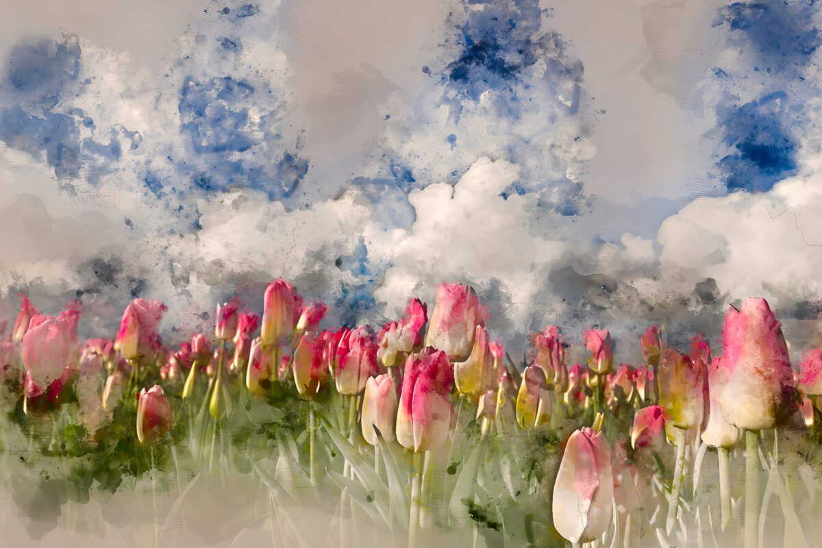 Tulipanes rosas en primavera de acuarela