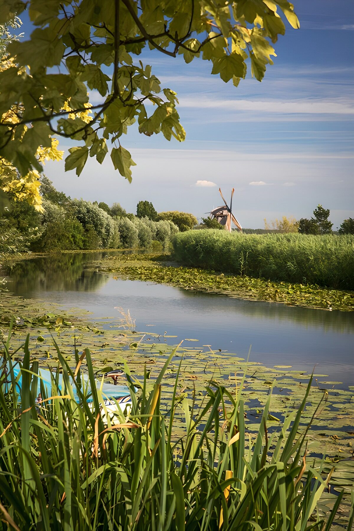 TPES24893: Molino de viento junto al canal en verano