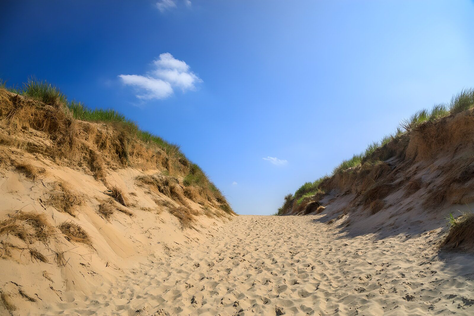 TPES28535: Camino de arena entre dunas al sol