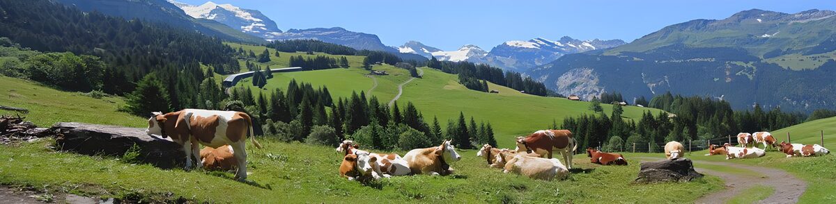 TPES60407: El verano pasta al pie de las cumbres