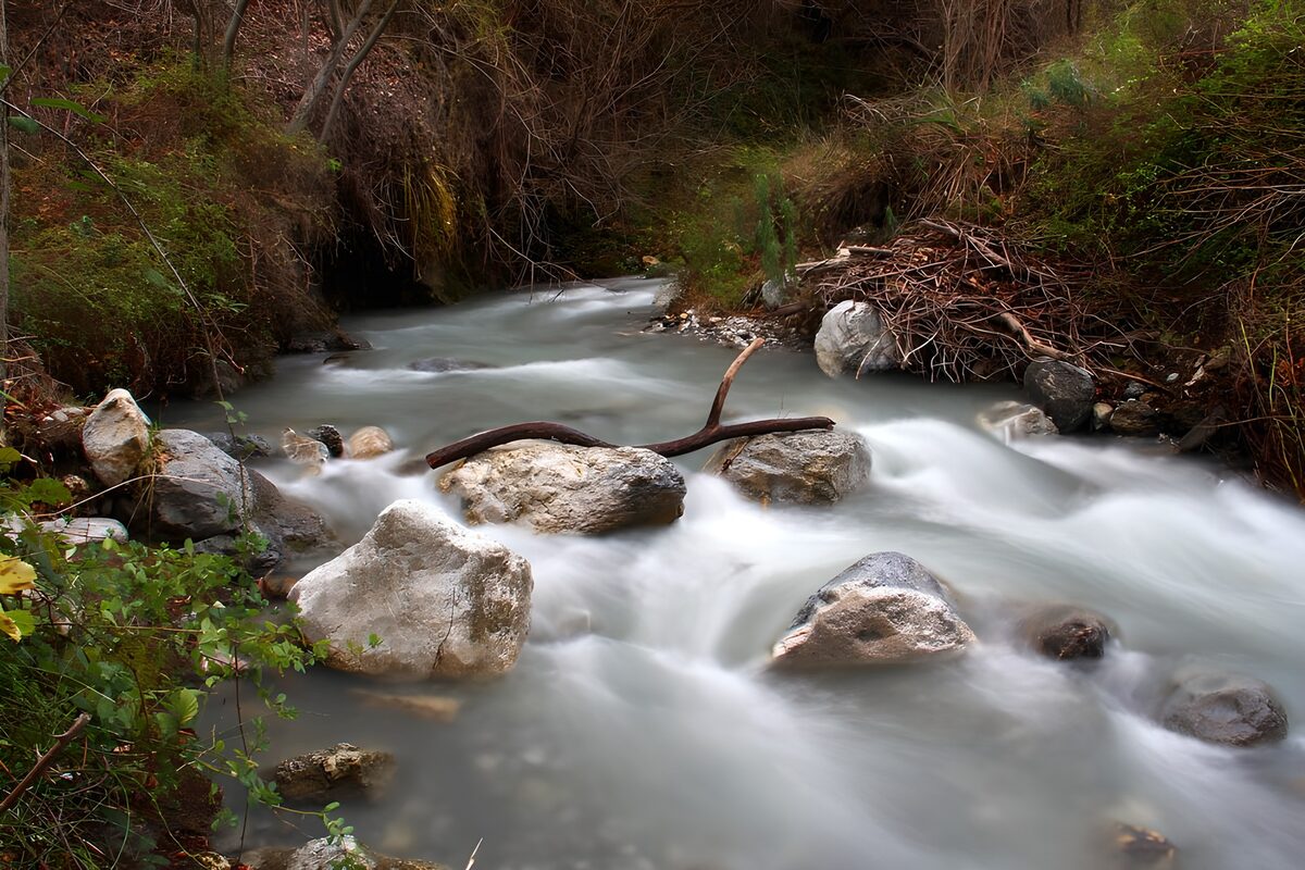 Arroyo entre rocas al abrigo del bosque