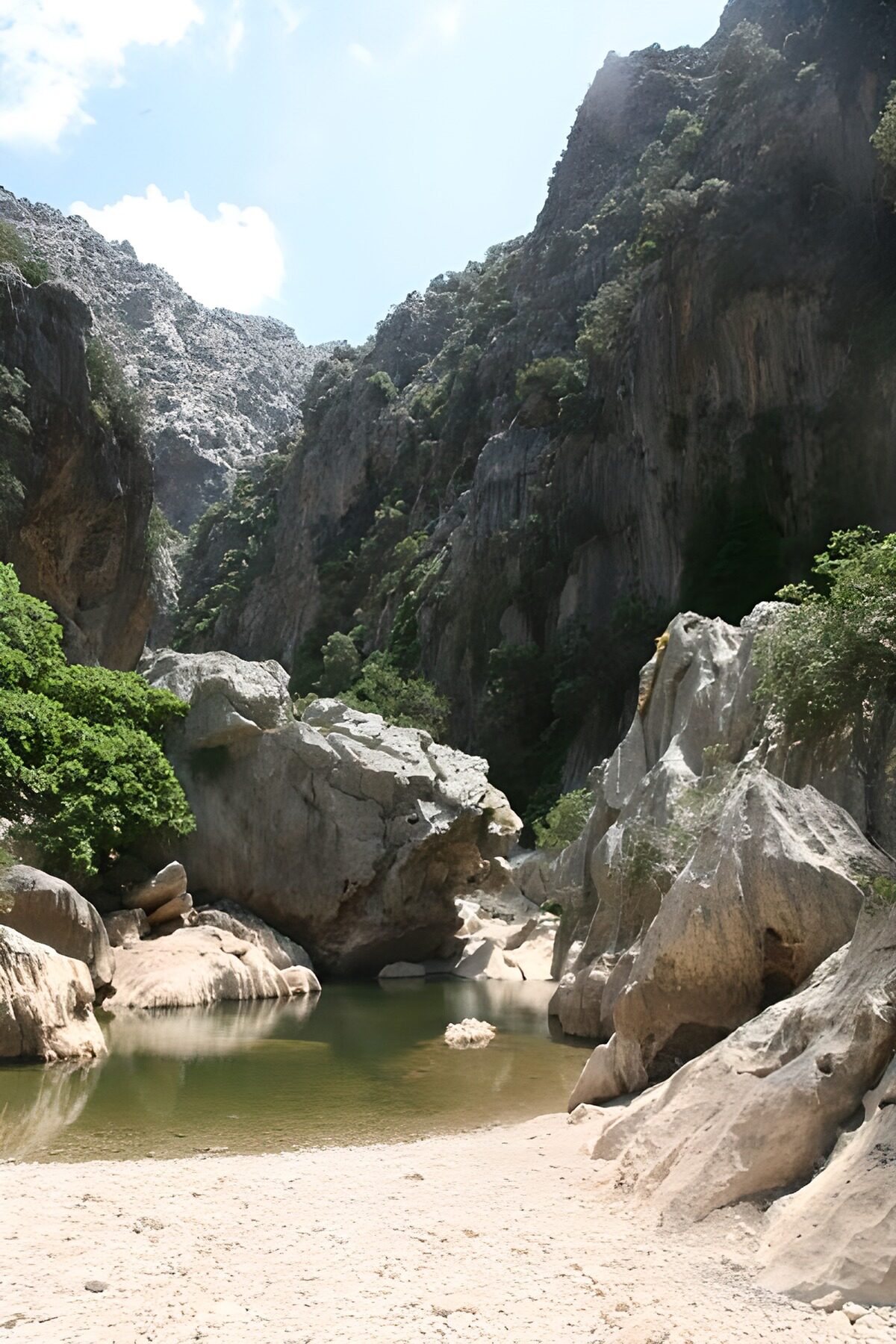 Poza verde entre rocas al sol