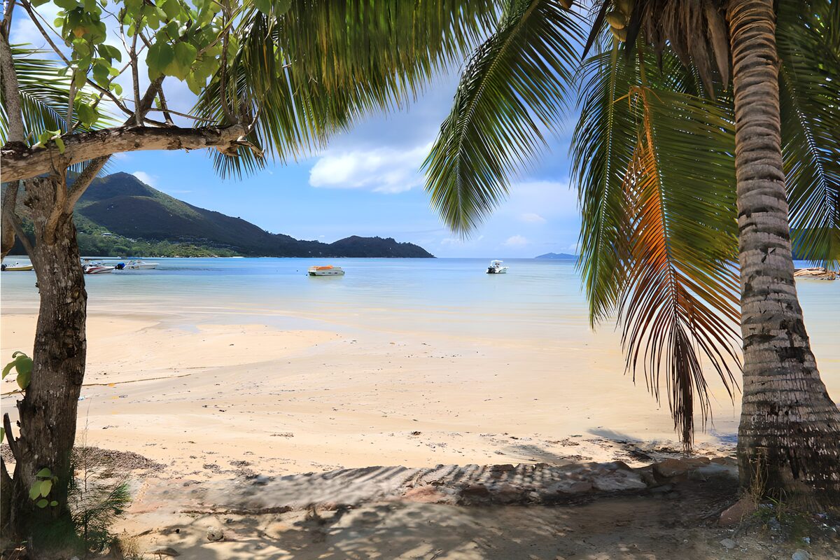 Palmeras que arropan una bahía azul