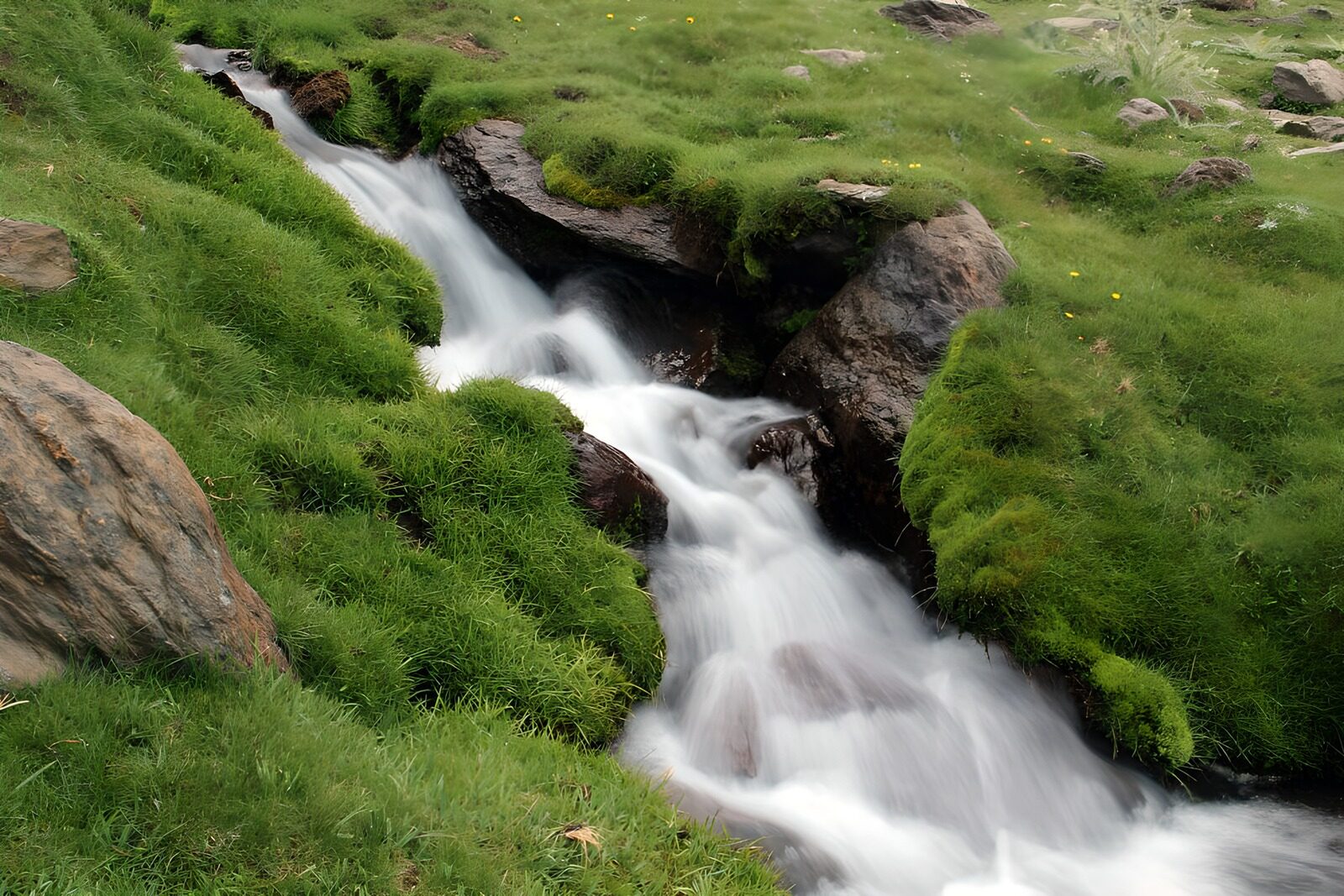 TPES61026: Arroyo entre rocas y hierba fresca