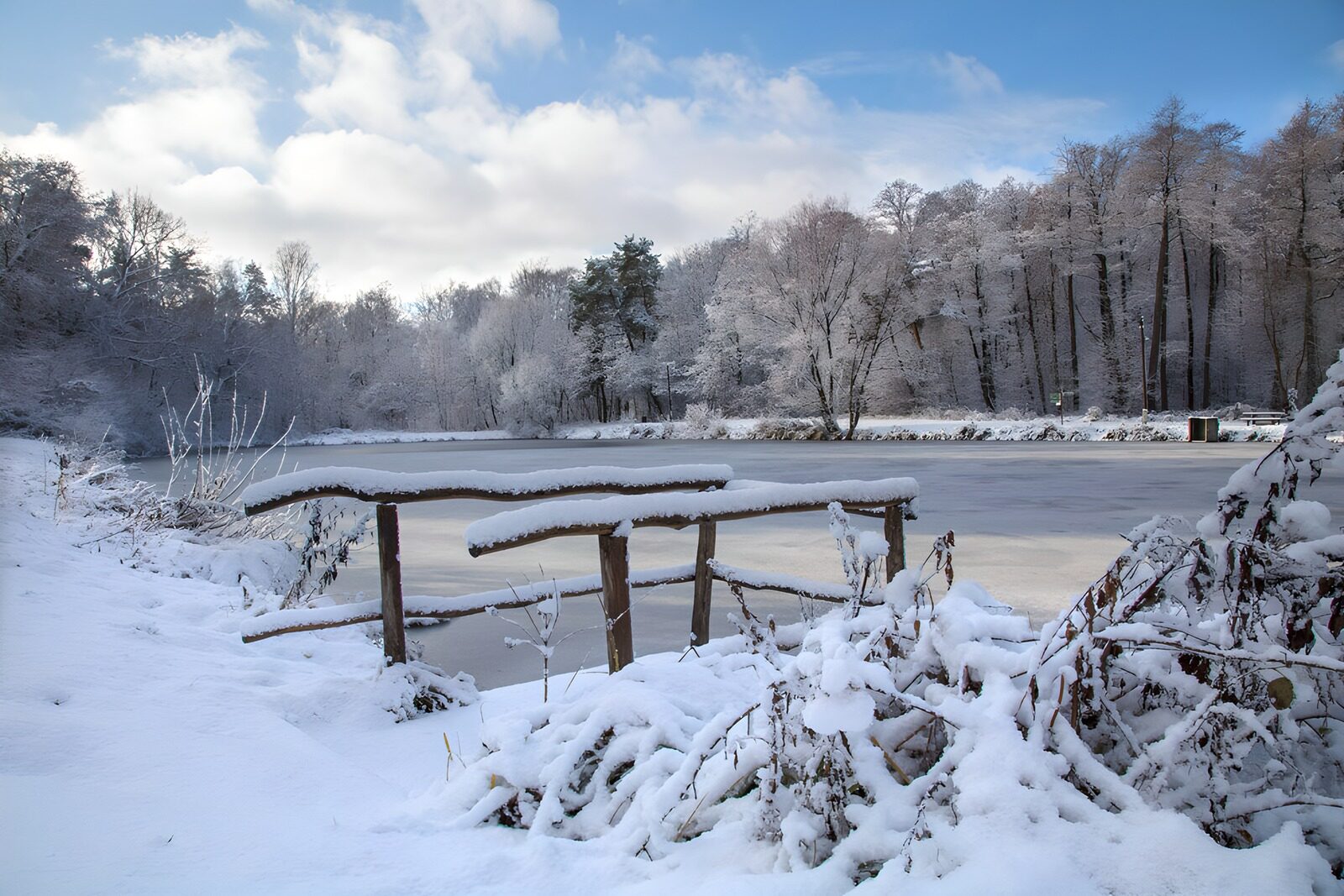 TPES72072: Estanque helado entre nieve y madera