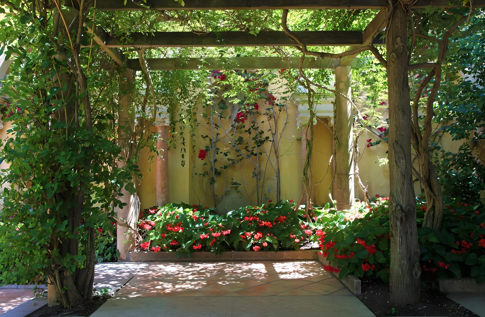 TPES23517: Patio florido bajo una pérgola de madera