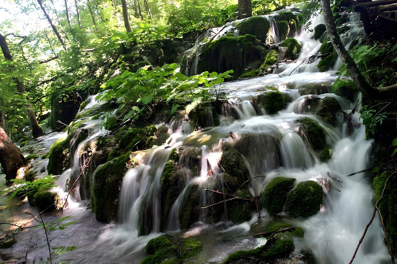 TPES36312: Cascada entre rocas cubiertas de musgo