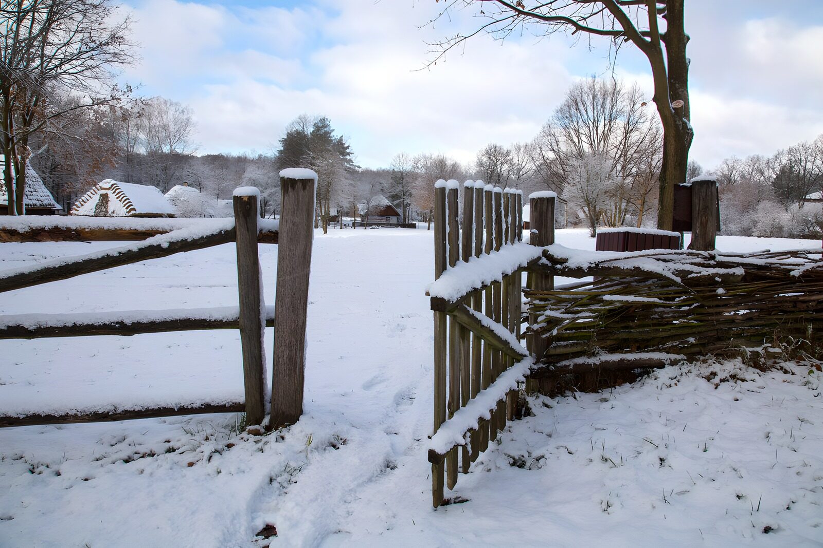 TPES74211: Puerta abierta a un paisaje nevado