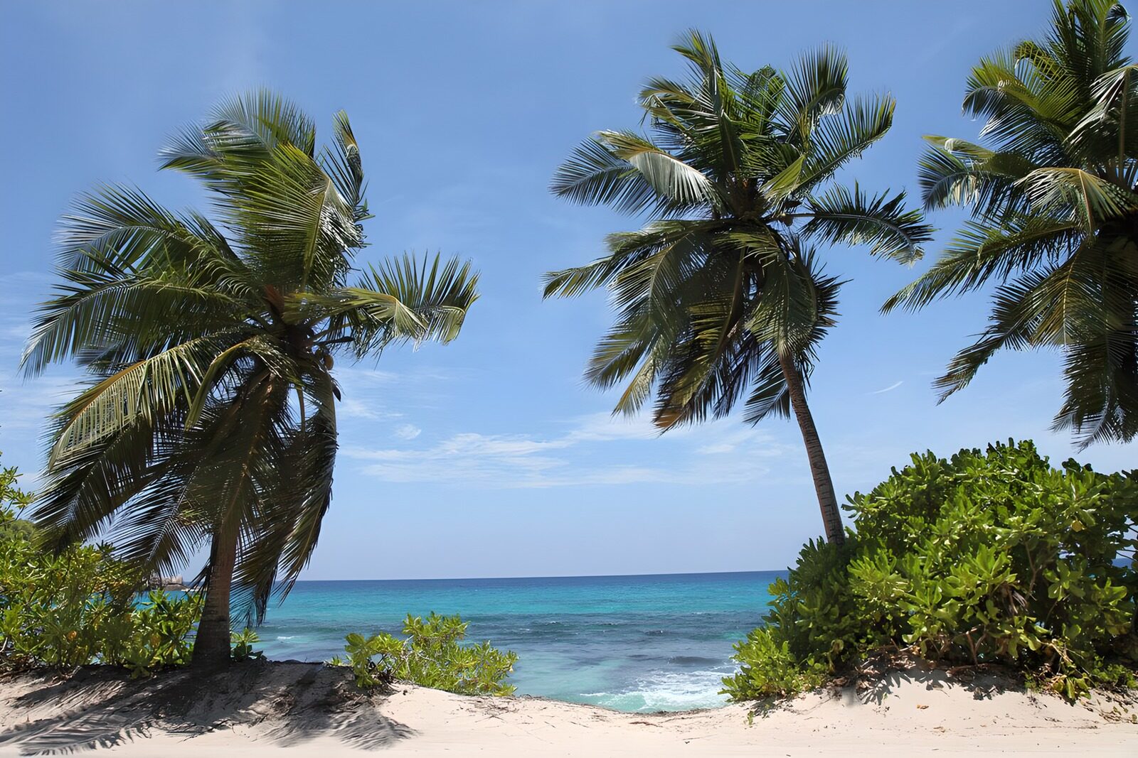 TPES21297: Playa tropical de arena y sol