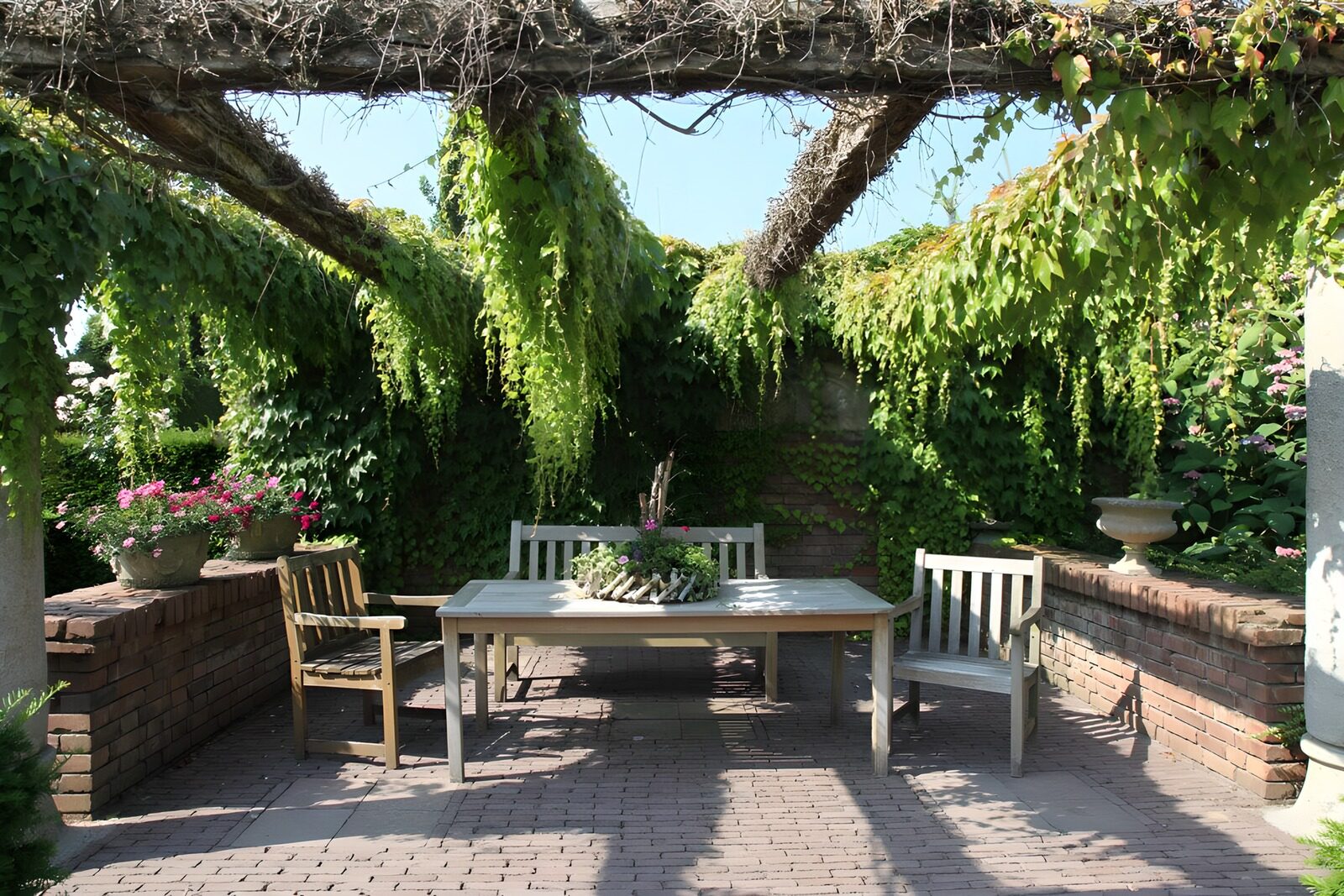 TPES24093: Mesa de jardín bajo una pérgola verde