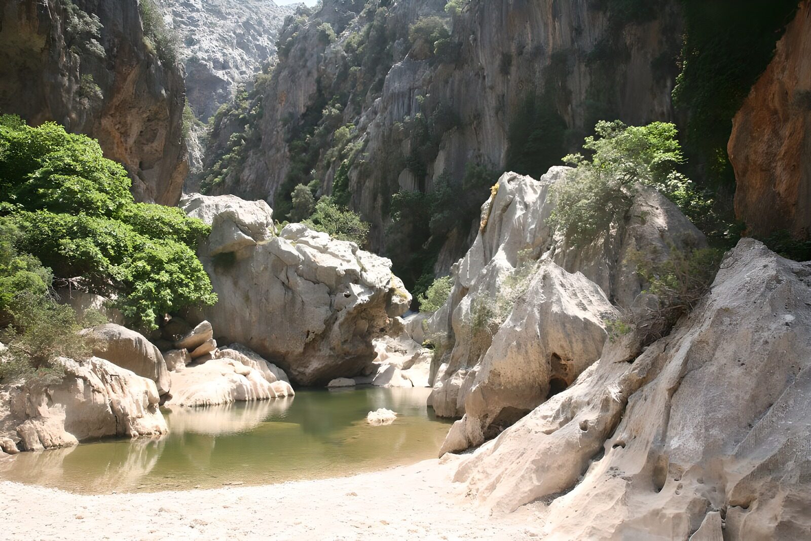 TPES72023: Poza verde entre rocas claras