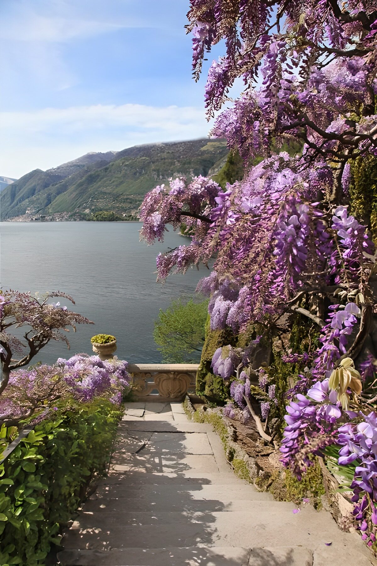 Escalera entre glicinas con vistas al lago