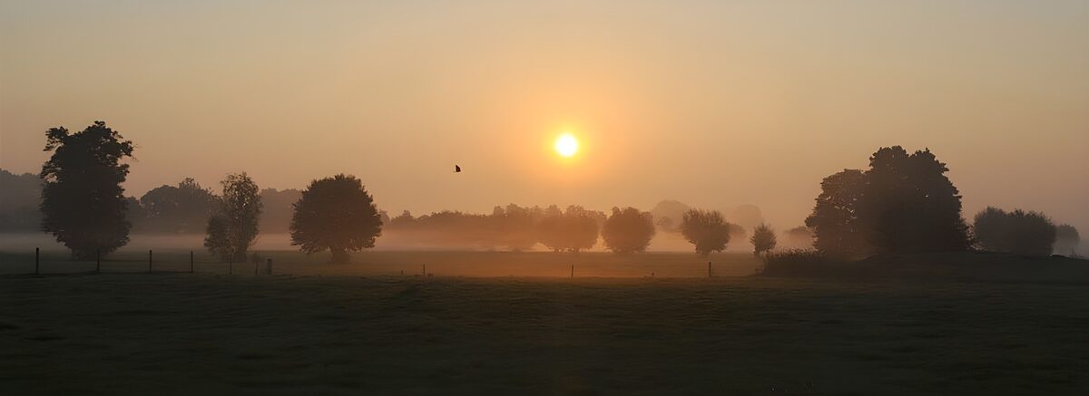 Amanecer con niebla sobre el prado