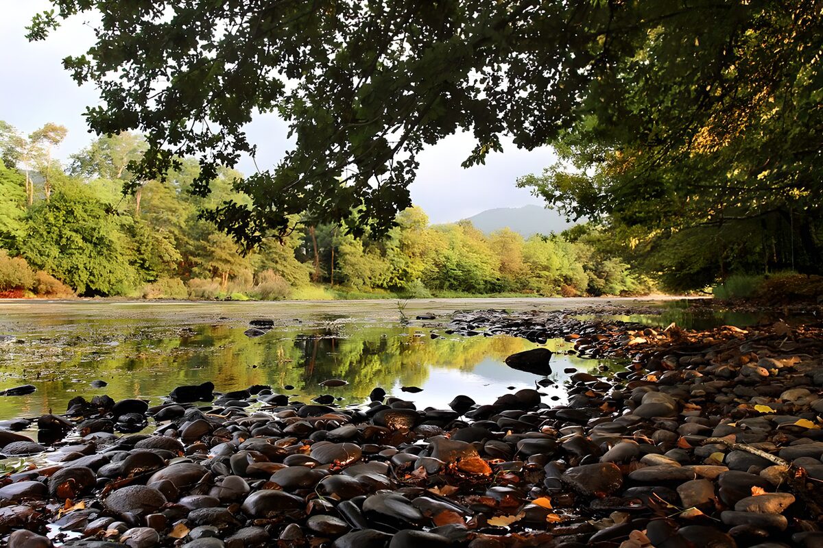 Río tranquilo entre cantos rodados