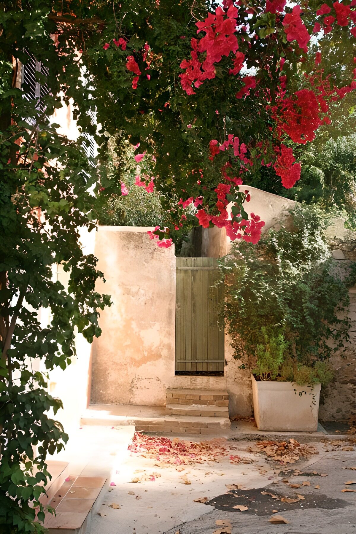 Puerta verde entre buganvillas