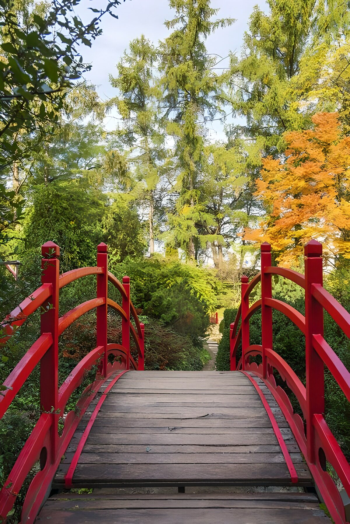 Un puente rojo hacia la calma