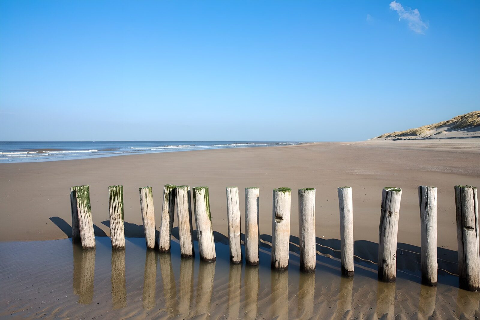TPES37498: Playa con postes y reflejos