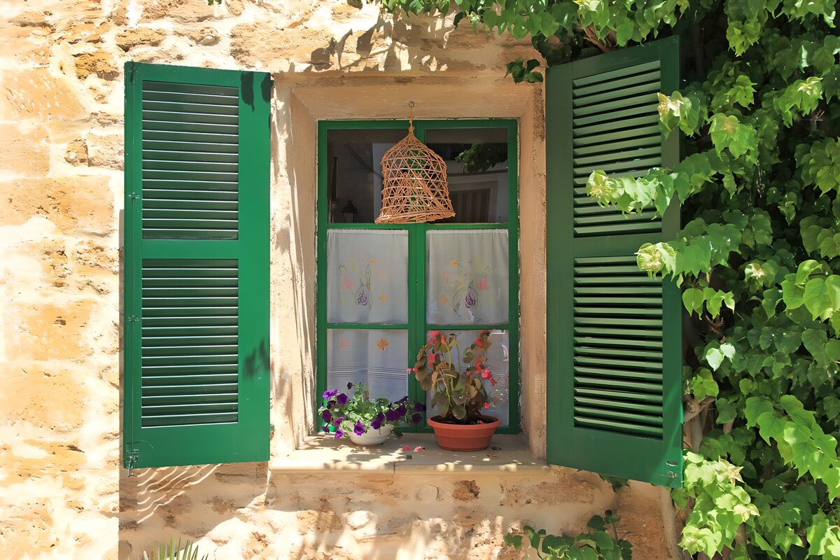Ventana verde con flores al sol