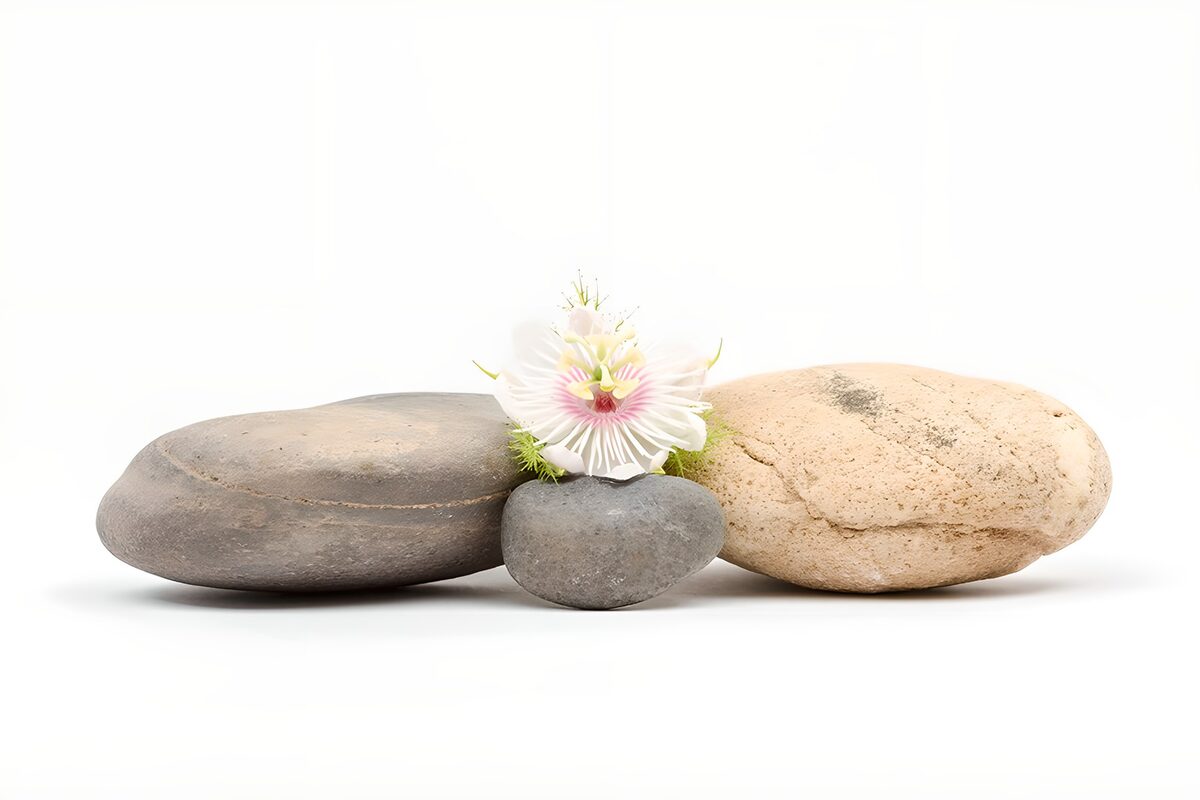 Tres piedras y una pasiflora blanca