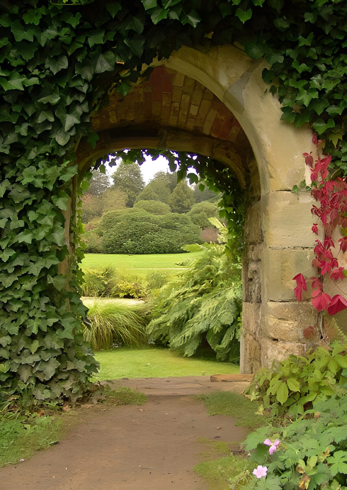 TPES27614: Arco de piedra hacia un jardín frondoso