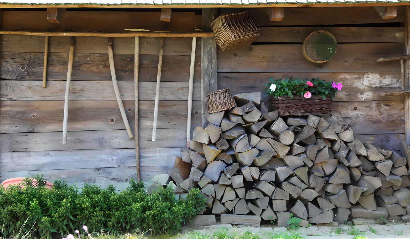 TPES76081: Leña y flores junto a la pared de madera