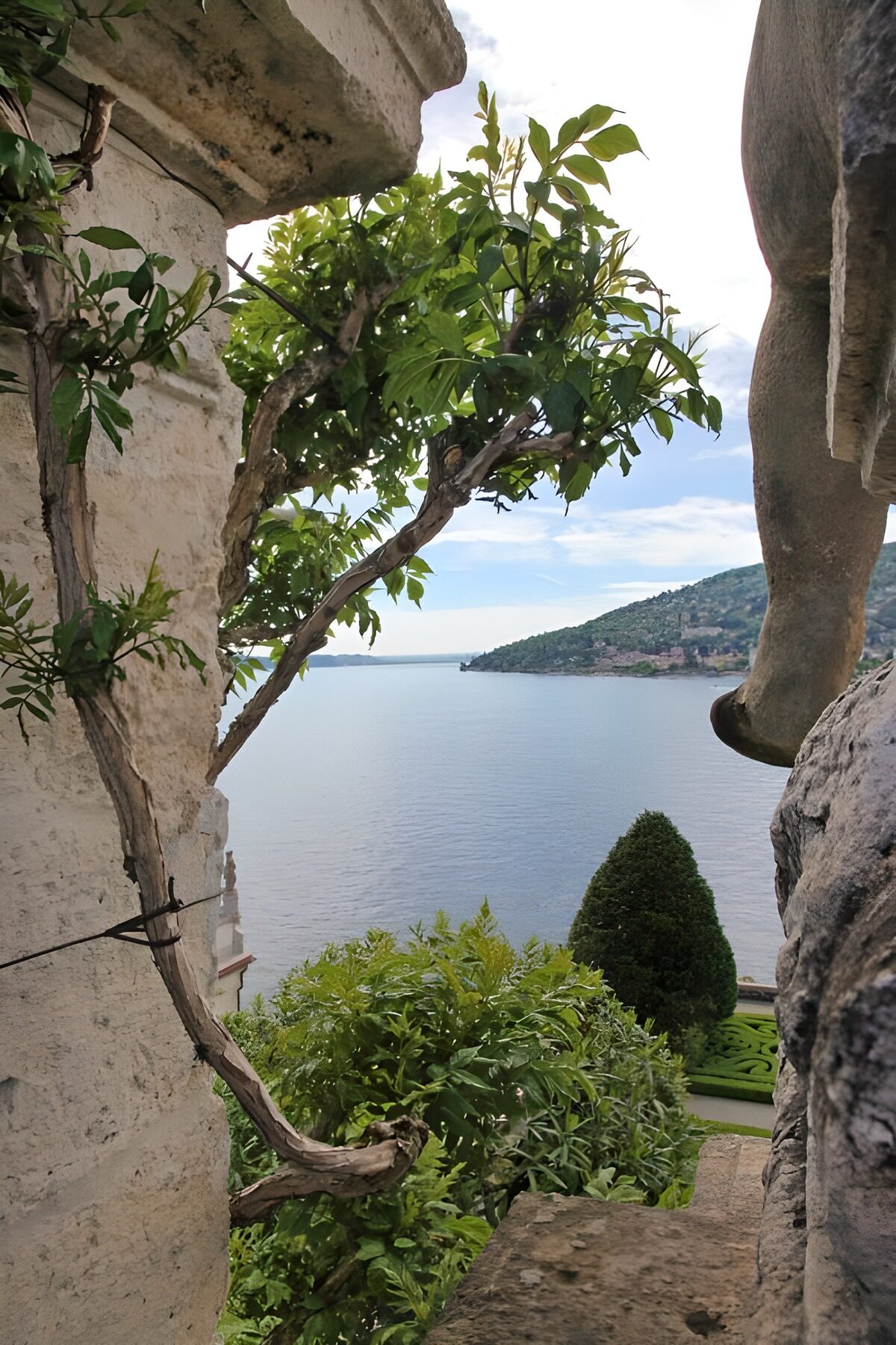 TPES16266: Jardín entre columnas con vistas a la bahía