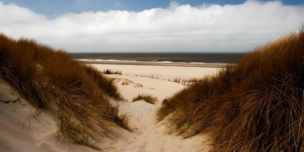 Sendero entre dunas hacia el mar abierto