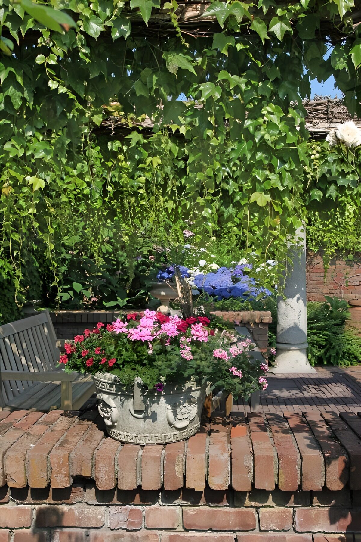 TPES44959: Patio con banco, hiedra y flores al sol