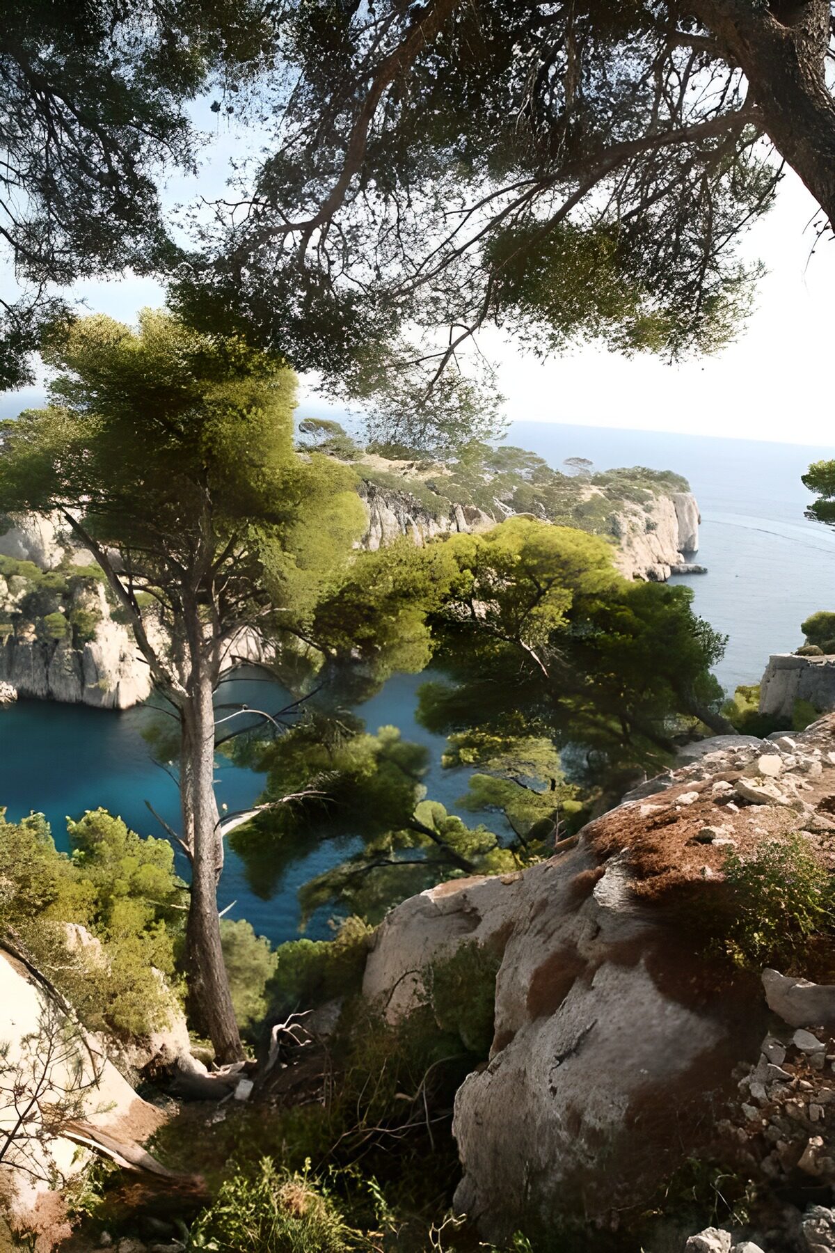 Cala turquesa entre pinos y acantilados