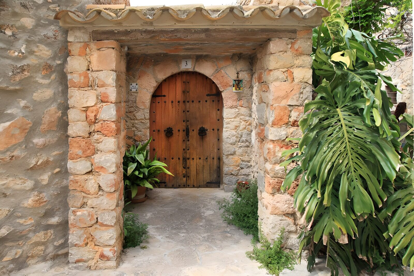 TPES93793: Puerta de madera entre piedra y verde