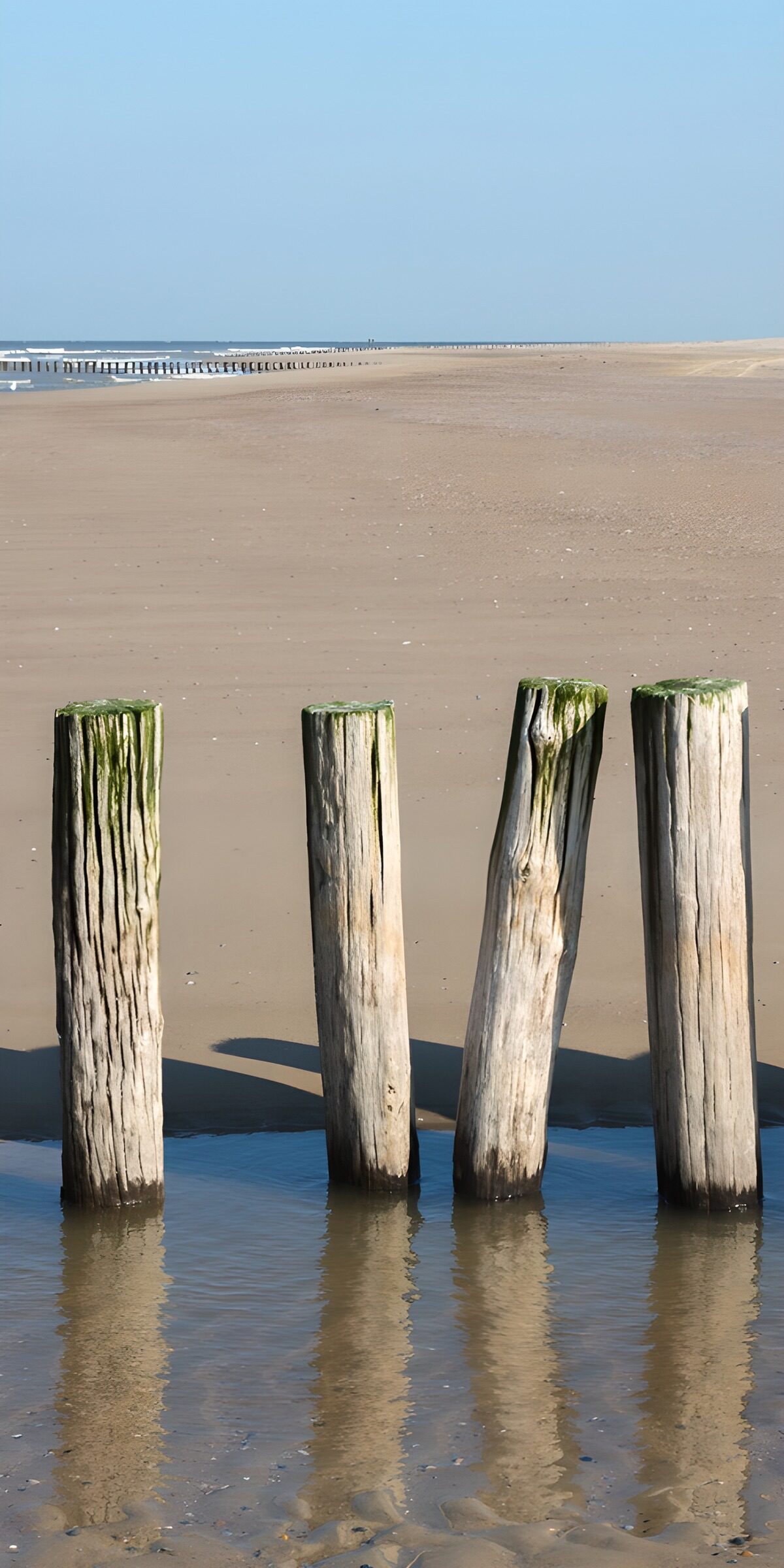 TPES24274: Cuatro postes de madera frente al mar
