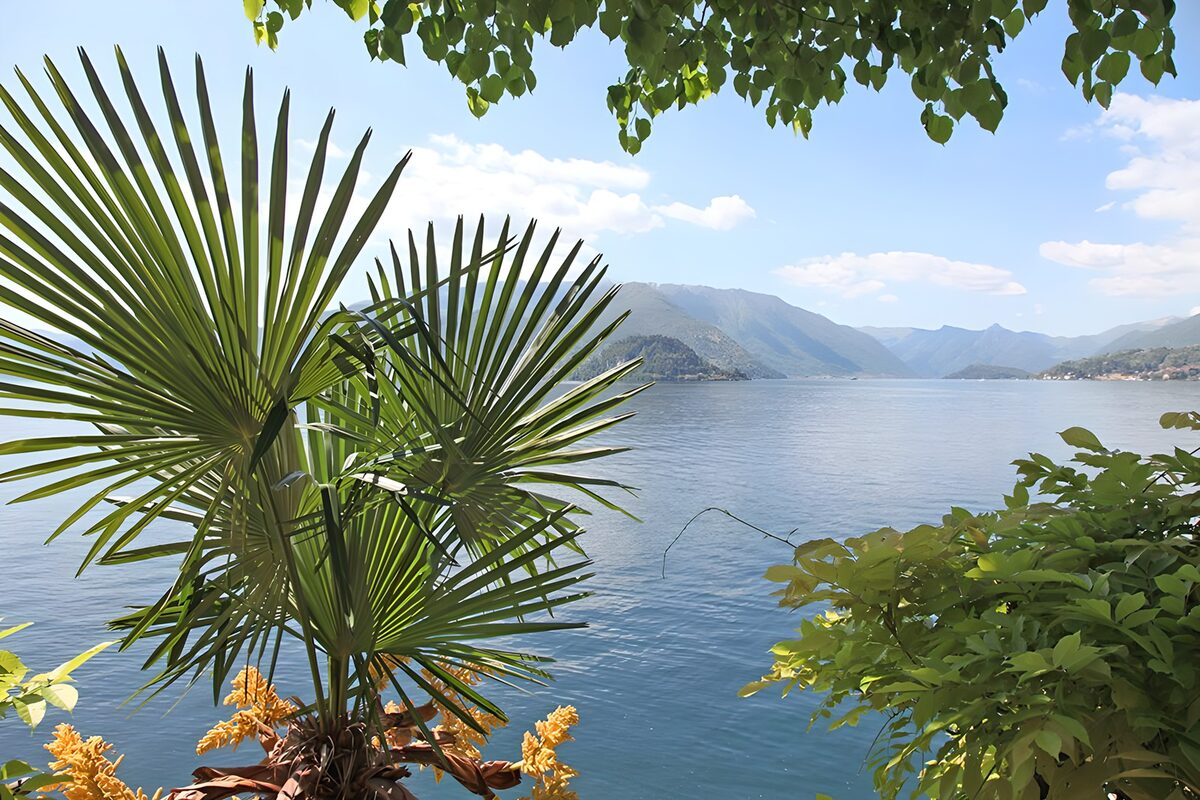 Lago al sol entre palmeras y montañas