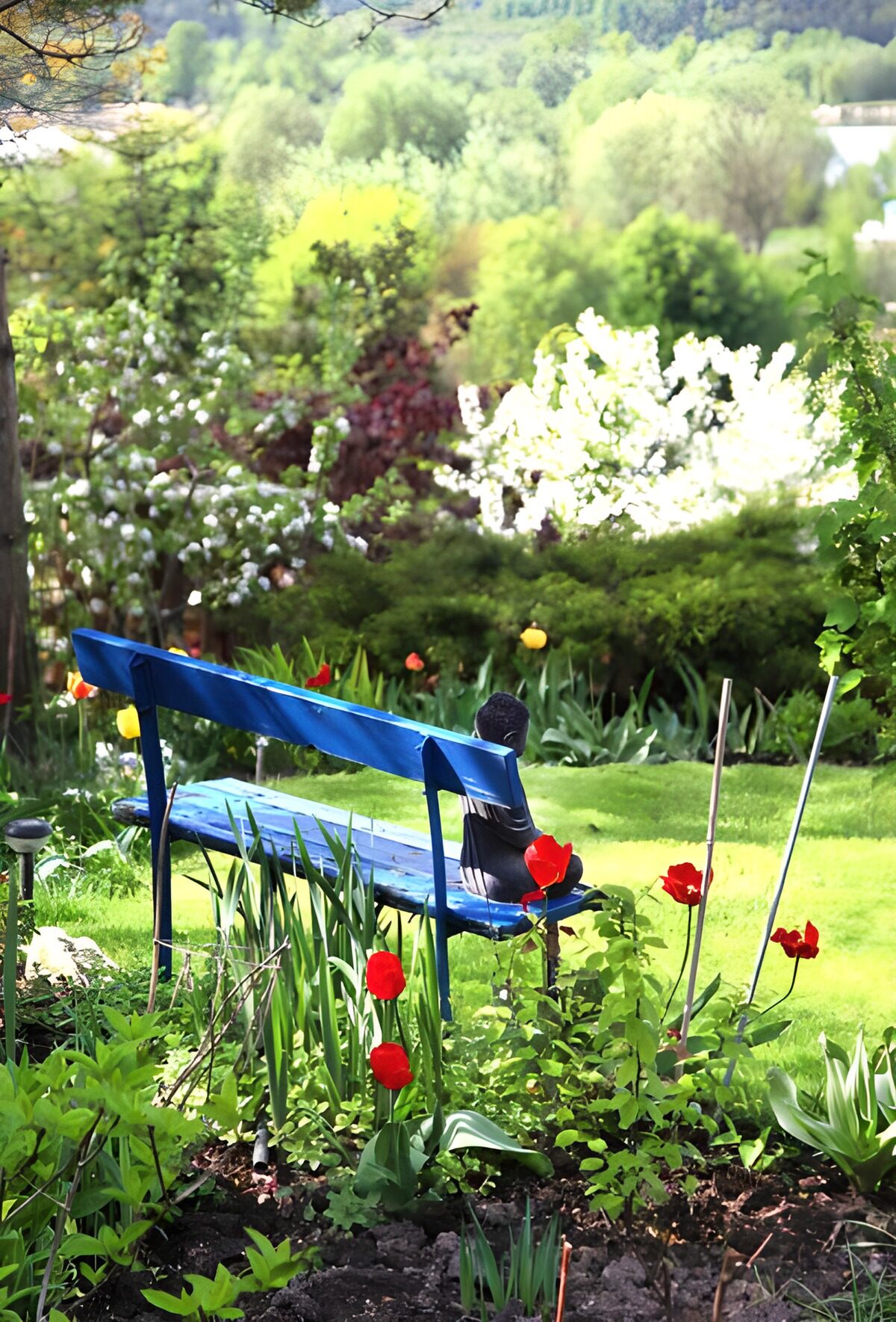Banco azul entre tulipanes de primavera