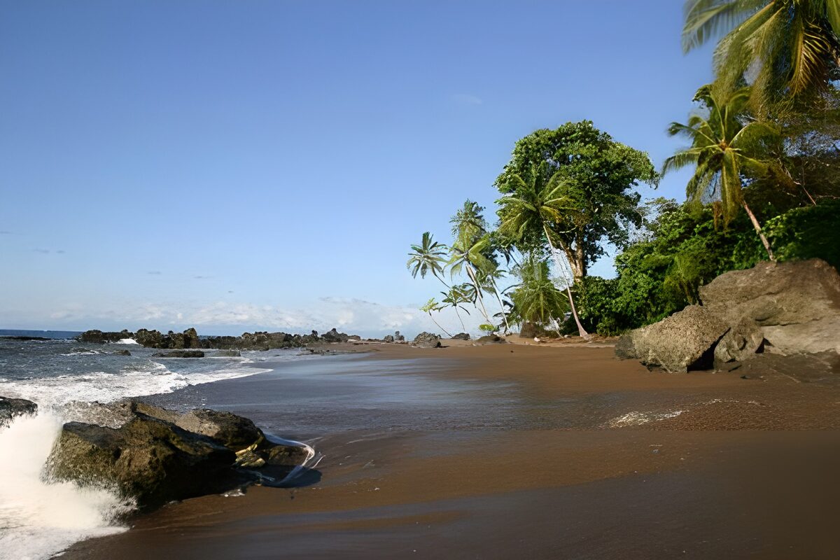 Playa de arena oscura entre palmeras