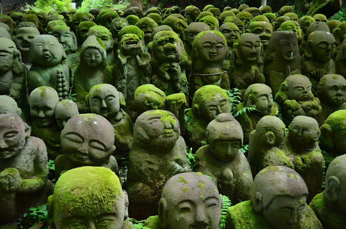 Estatuas budistas entre musgo y helechos