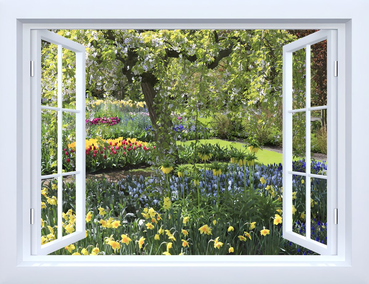 Ventana abierta a un jardín en flor