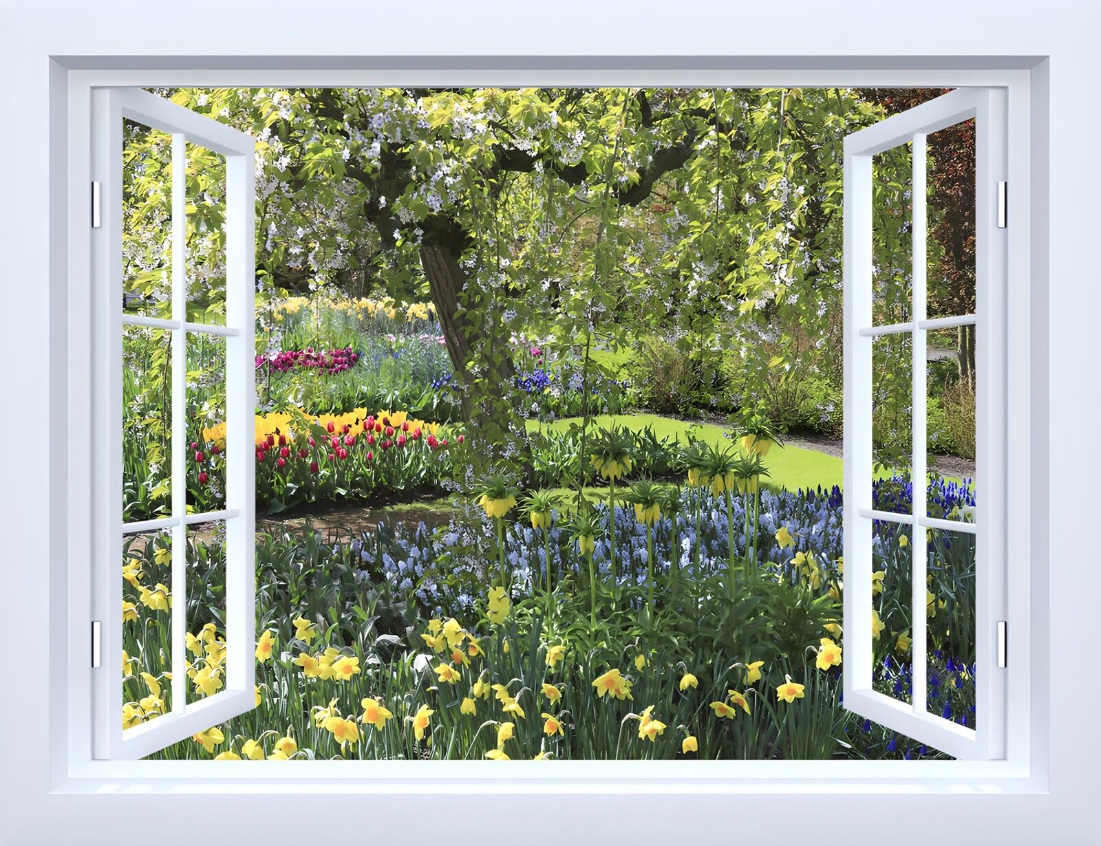 TPES19933: Ventana abierta a un jardín en flor