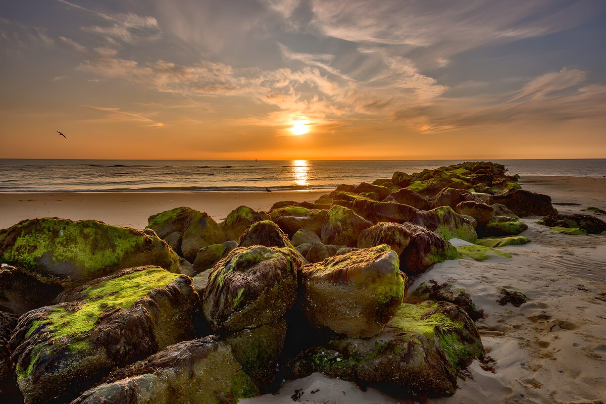 Playa y escollera al atardecer