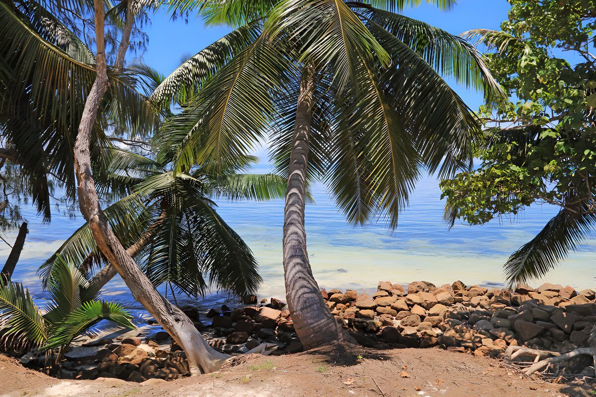 TPES32073: Palmeras y rocas junto al mar turquesa