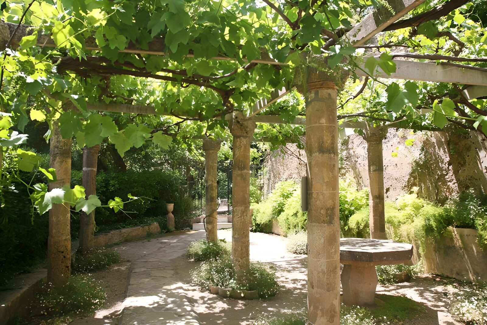 TPES48342: Pérgola de piedra a la sombra de la parra