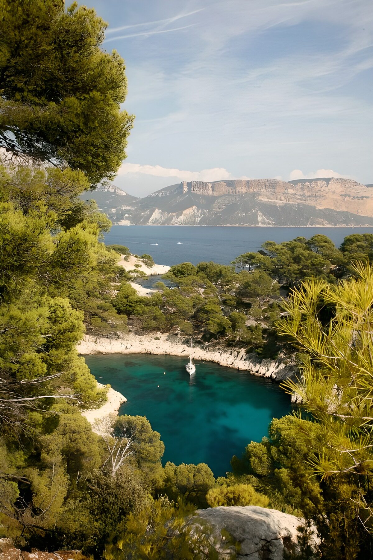 Cala turquesa entre pinos