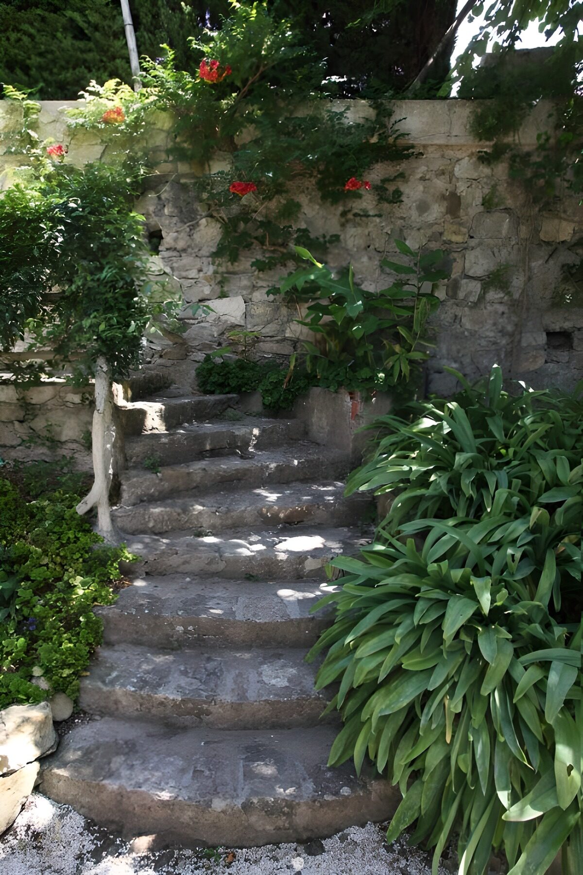 Escalera de piedra entre luces y sombras