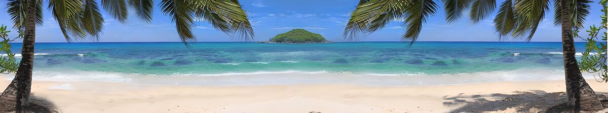 TPES26767: Playa entre palmeras y aguas turquesas